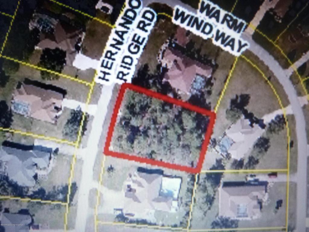0 Hernando Ridge - Photo 1