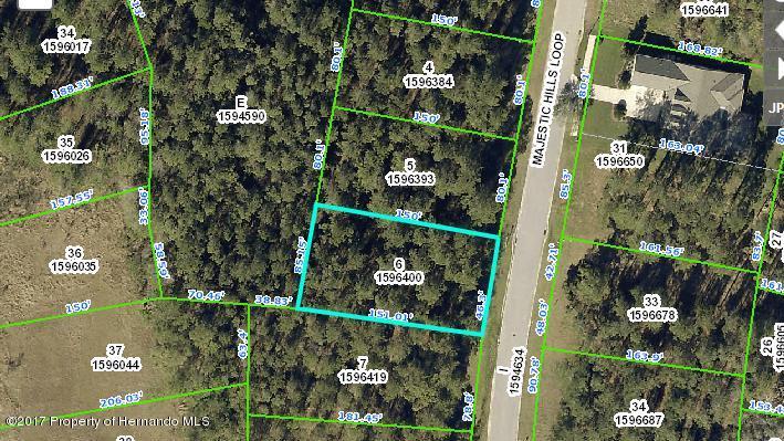 4835 Majestic Hills Loop - Photo 1