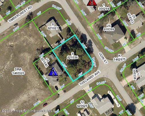 4447 Odin Street - Photo 1