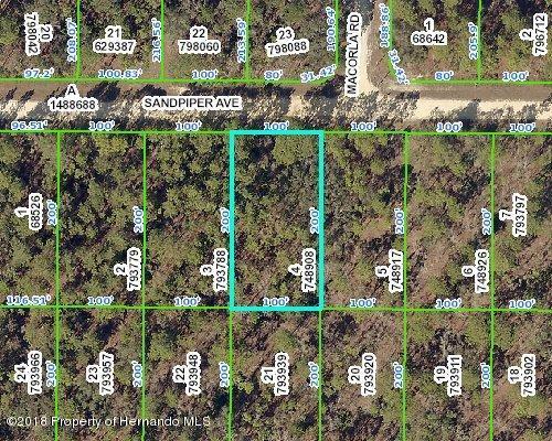 0 W Sandpiper Avenue - Photo 1