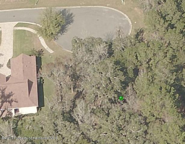 19586 Mossy Oak Court - Photo 1