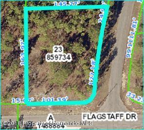 13291 Flagstaff Drive - Photo 1