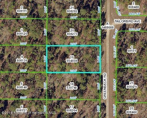 0 Greenback Road - Photo 1