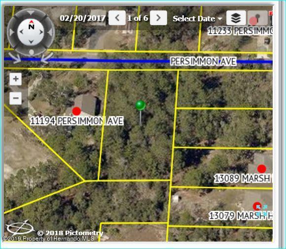 0 Persimmon Avenue - Photo 1