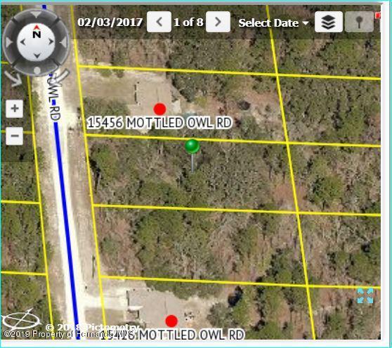 15446 Mottled Owl Road - Photo 1