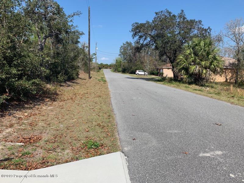 14831 Abair Street - Photo 1