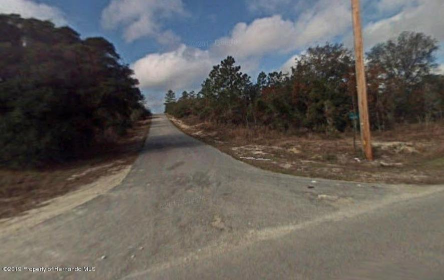 0 Sw Mango Lane - Photo 1