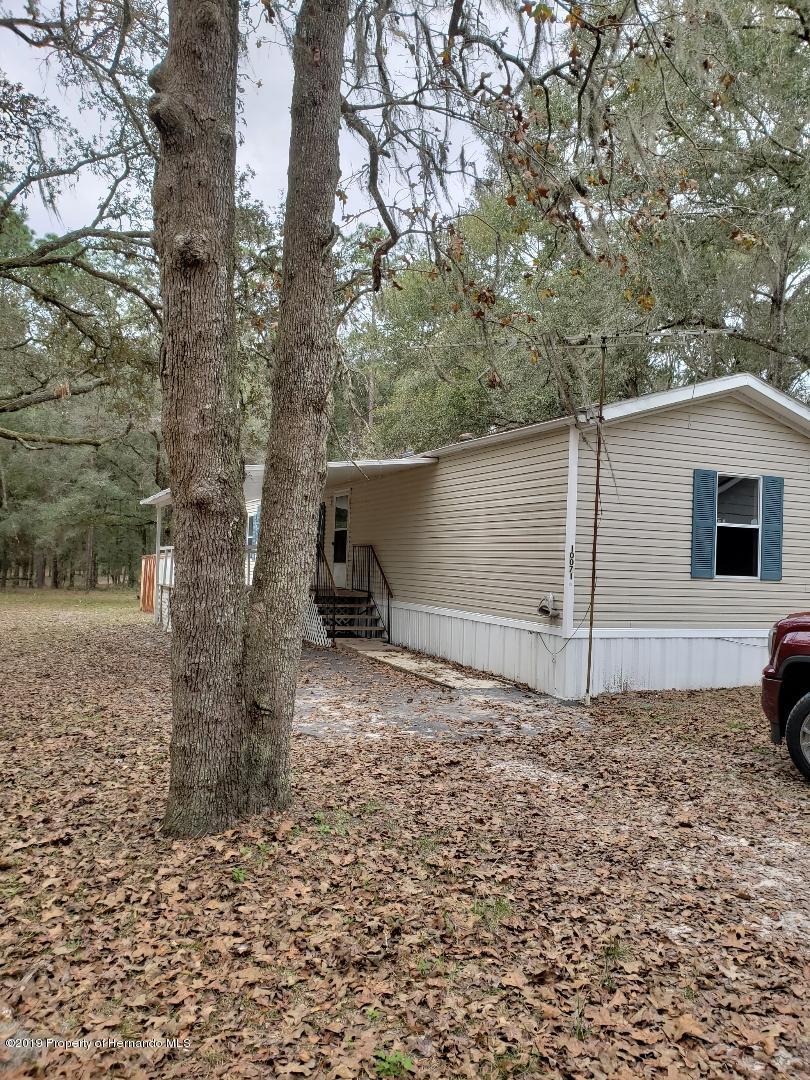 10071 Idonia Lane - Photo 1
