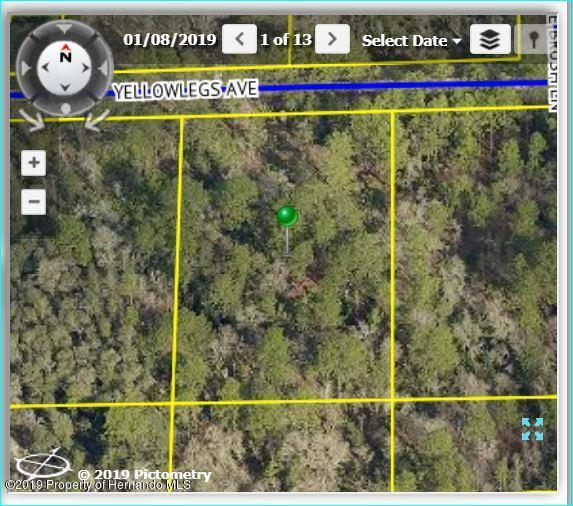 10414 Yellowlegs Avenue - Photo 1