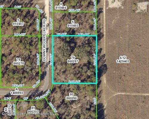 13430 Downy Woodpecker Road - Photo 1