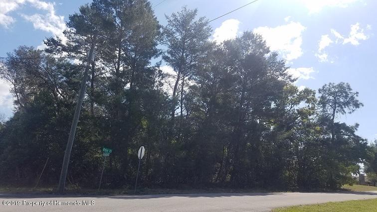 5228 Odin Street - Photo 1