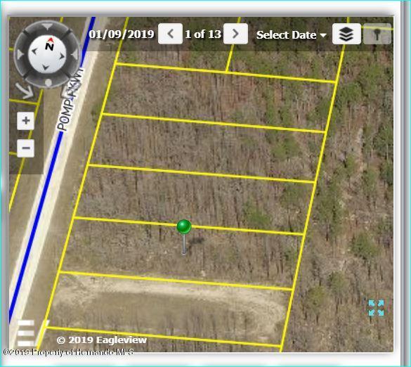 16174 Pomp Park Way - Photo 1