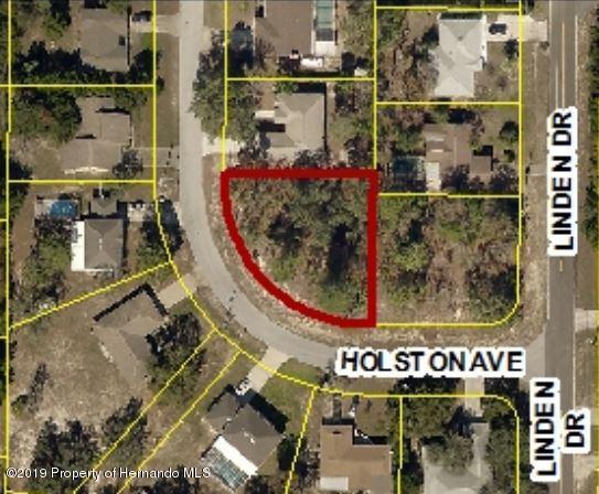 0 Holston Avenue - Photo 1