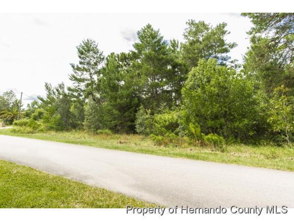 0 Ainsworth Avenue - Photo 1