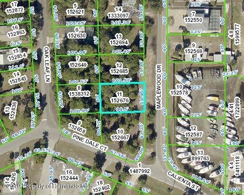 0 Maplewood Drive - Photo 1