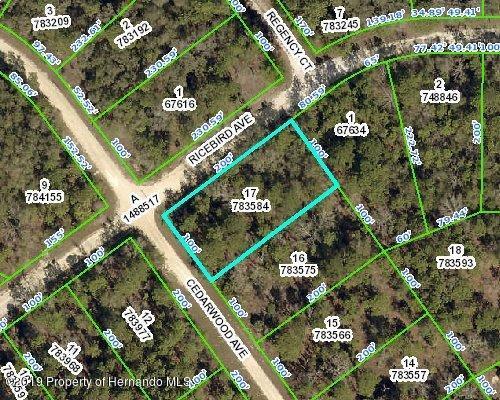 00 Cedarwood Avenue - Photo 1
