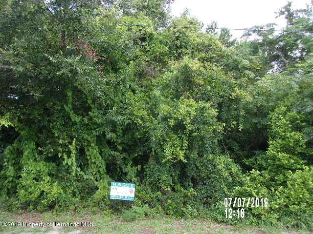 6479 Grapewood Road - Photo 1