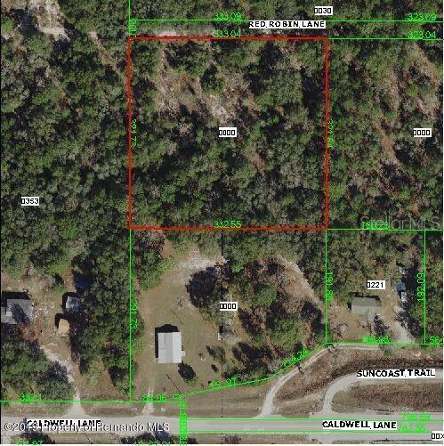 16704 Red Robin Lane - Photo 1