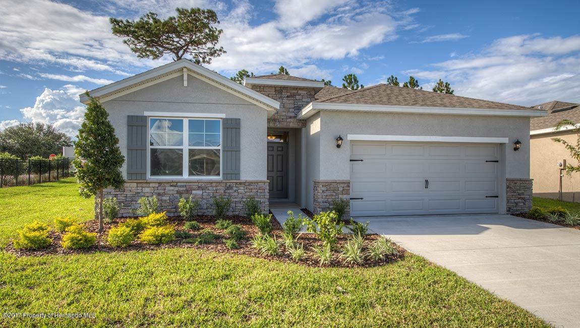 5057 Gevalia Drive - Photo 1
