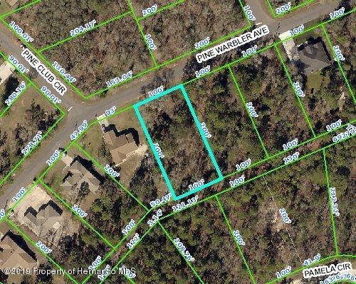 0 Pine Warbler Avenue - Photo 1