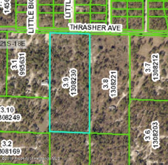 0 Thrasher Avenue - Photo 1