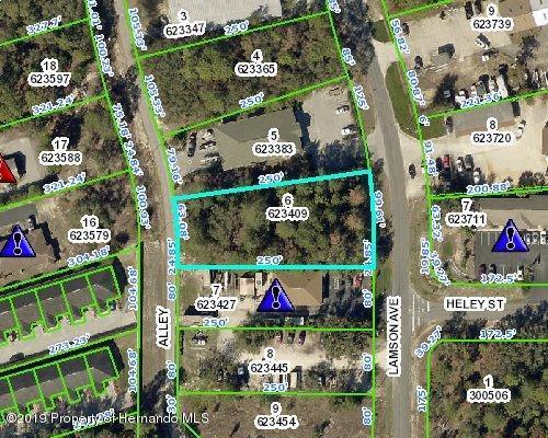 0 Lamson Avenue - Photo 1