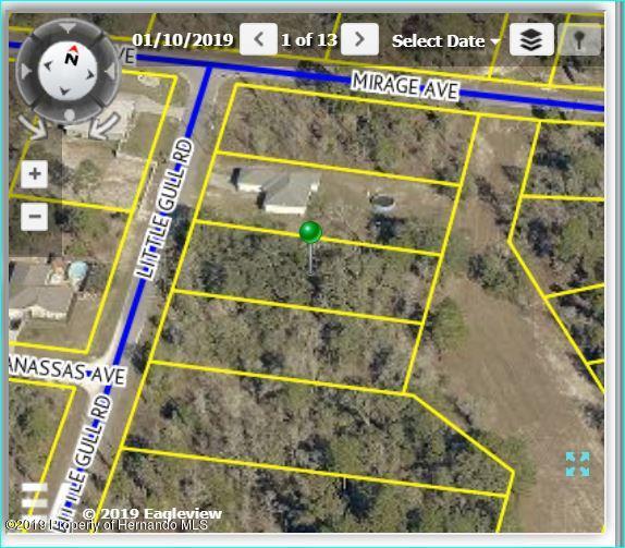 11262 Little Gull Road - Photo 1
