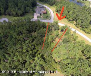 1597 Cedar Ridge Drive - Photo 1