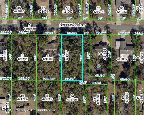 0 Greenwood Street - Photo 1