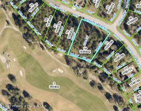0 Hickory Oak Drive - Photo 1