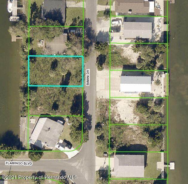 0 Bimini Dr Lot 29 - Photo 1