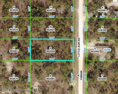 Lot 9 Little Auk Road - Photo 1