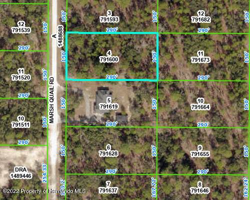 LOT 4 Marsh Quail Road - Photo 1