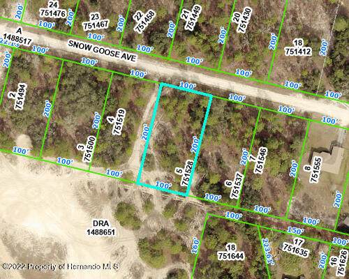 0 Snow Goose Avenue - Photo 1