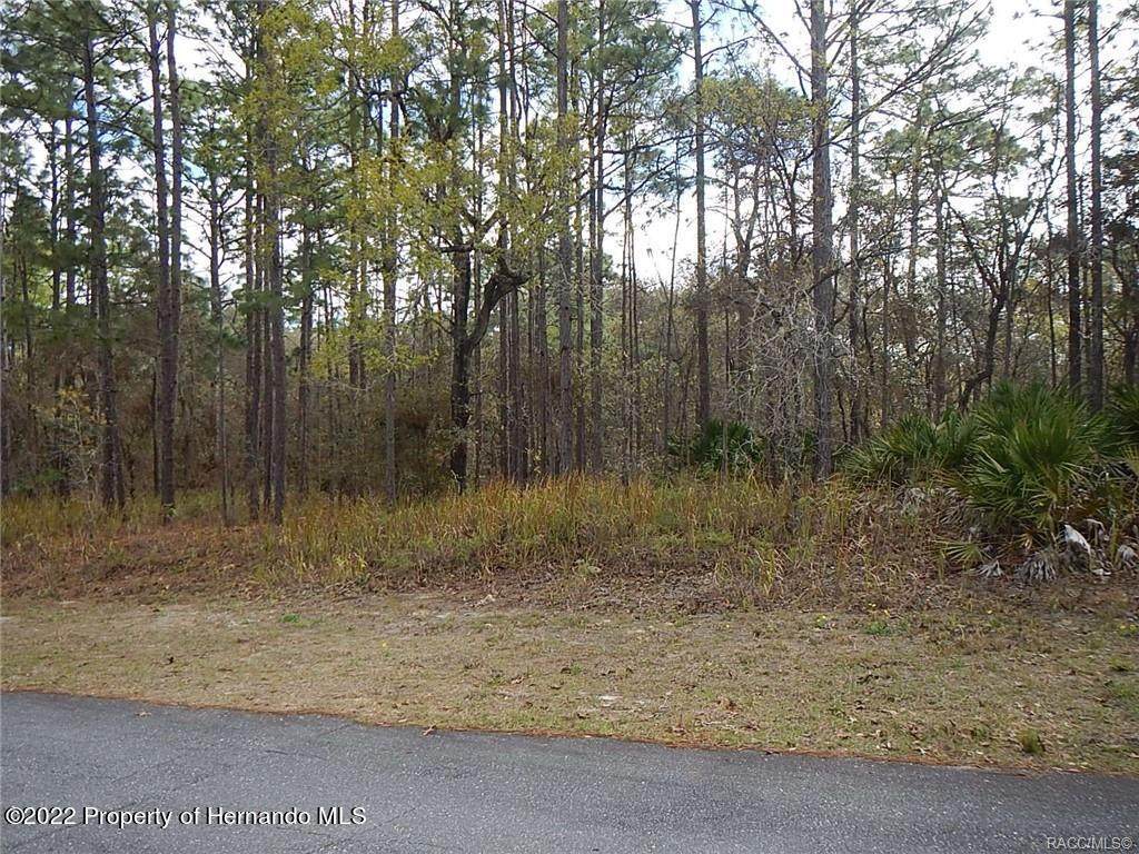 4579 N Baywood Drive - Photo 1