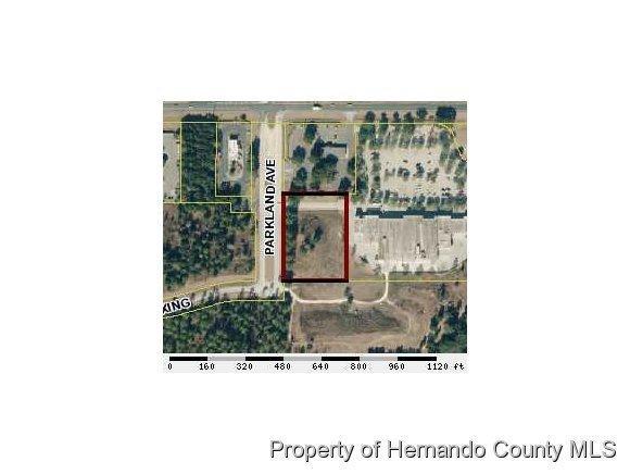 0 Parkland Avenue - Photo 1