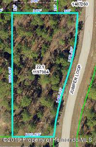 0 Jumper Loop (Divine Lot 1) - Photo 1