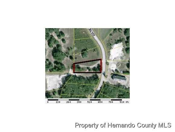 0 Nature Coast Boulevard - Photo 1