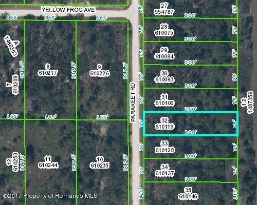 Lot32 Parakeet Road - Photo 1
