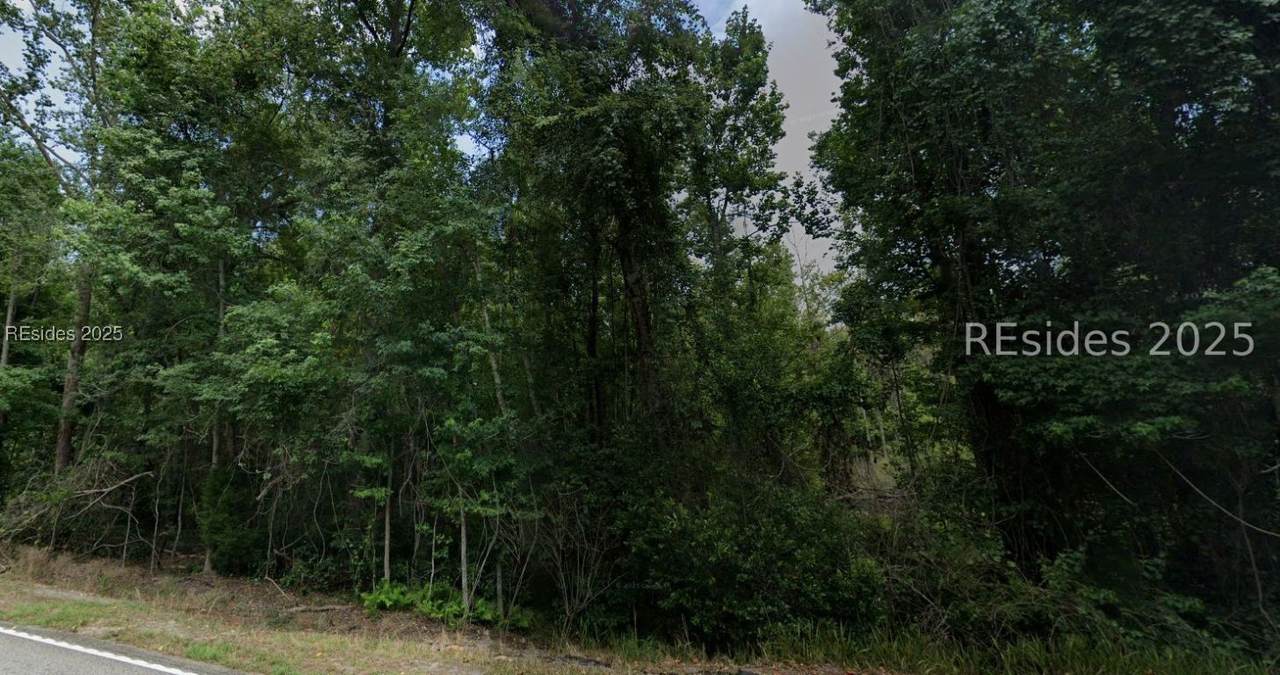 00 Gillisonville Road - Photo 1