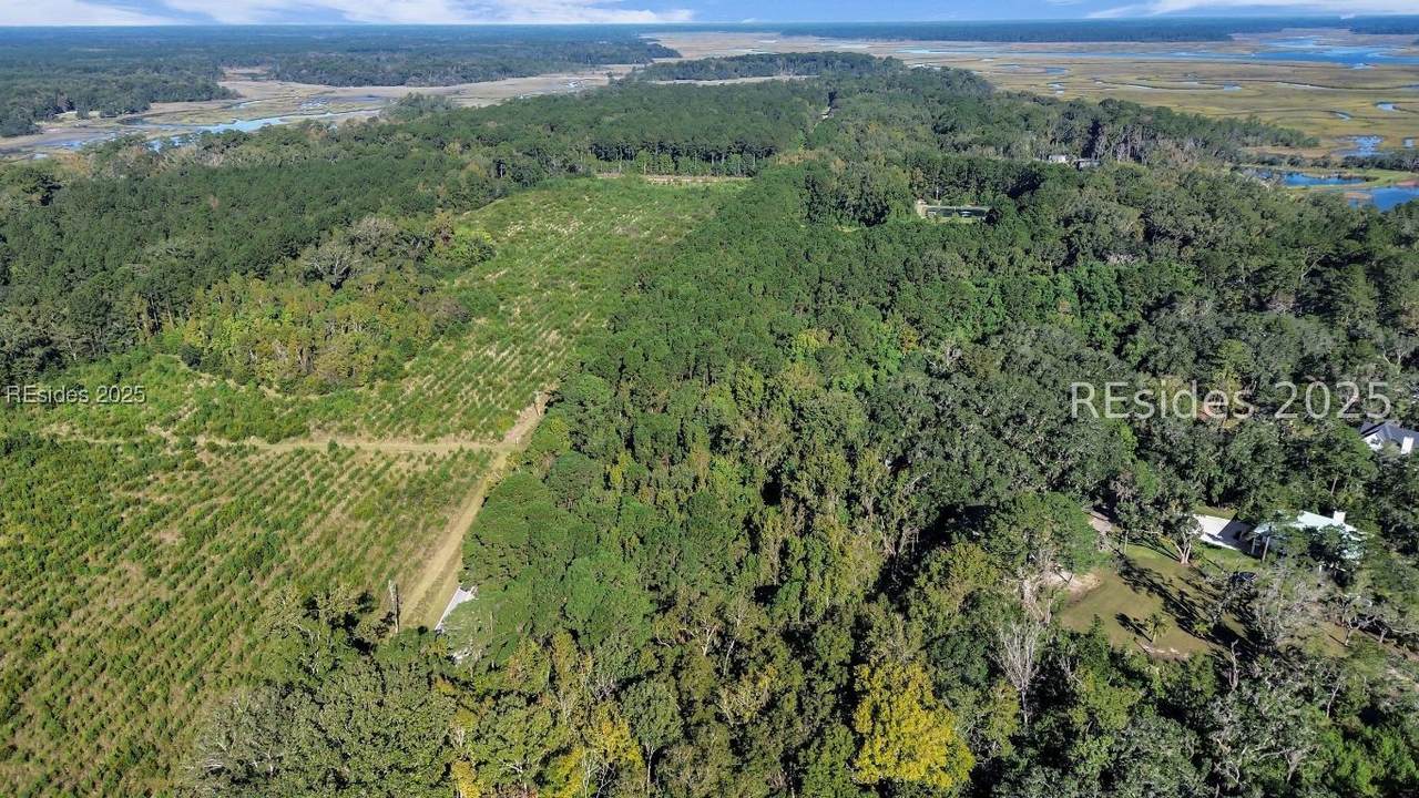 Parcel AA Knowles Island Rd - Photo 1