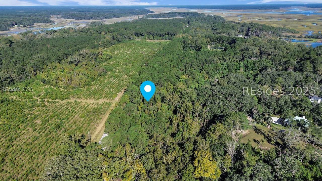 Parcel AB Knowles Island Rd - Photo 1