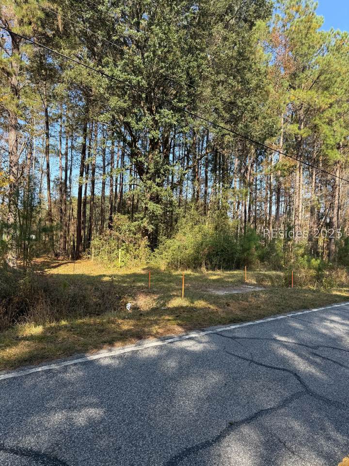 7062 Main Street - Photo 1