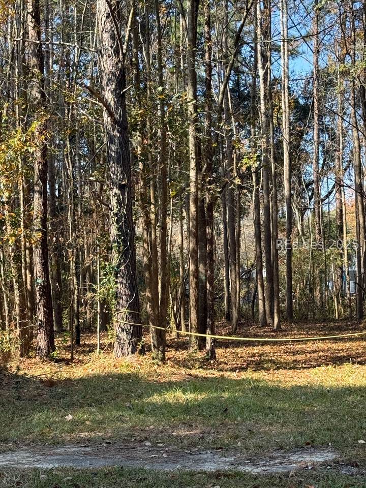 6964 Tillman Road - Photo 1