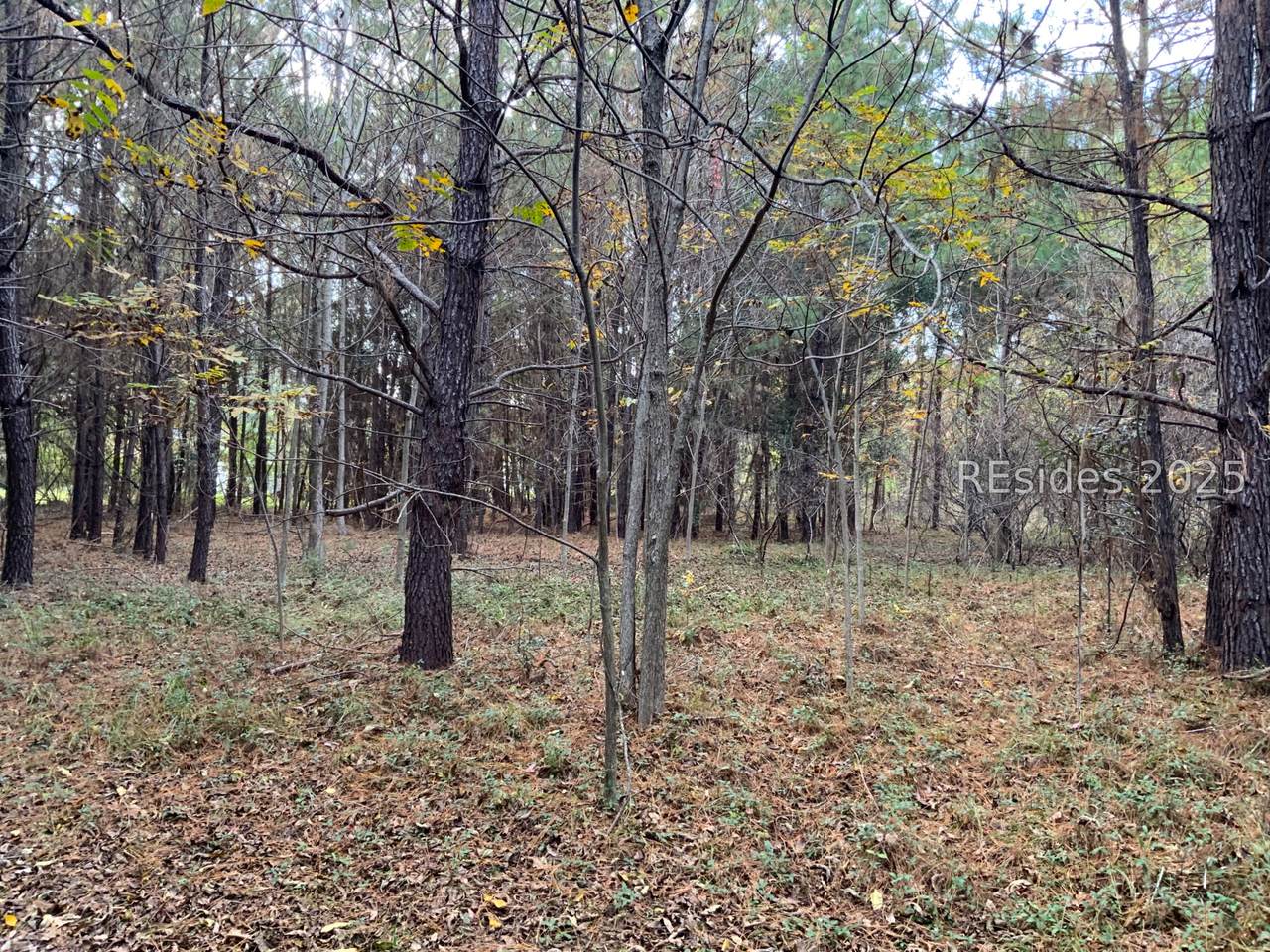 TBD Pearl Harbor Drive - Photo 1