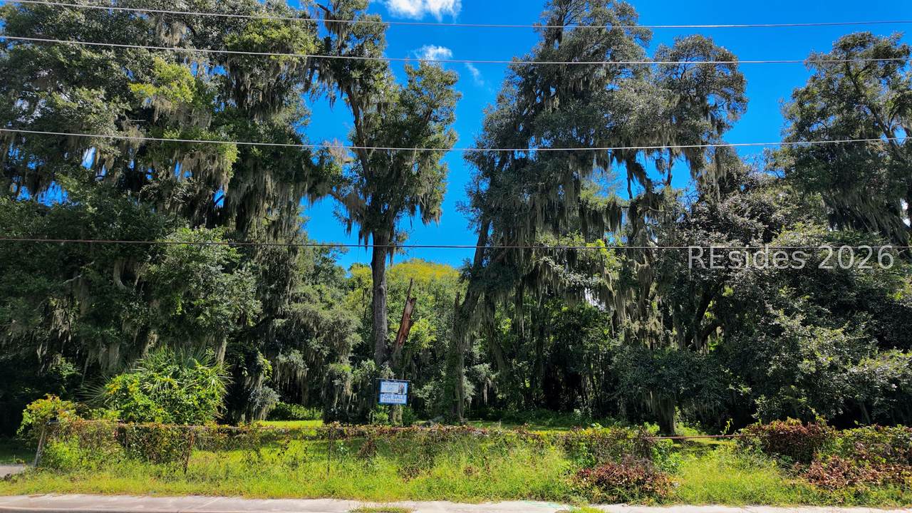 1405 Ribaut Road - Photo 1