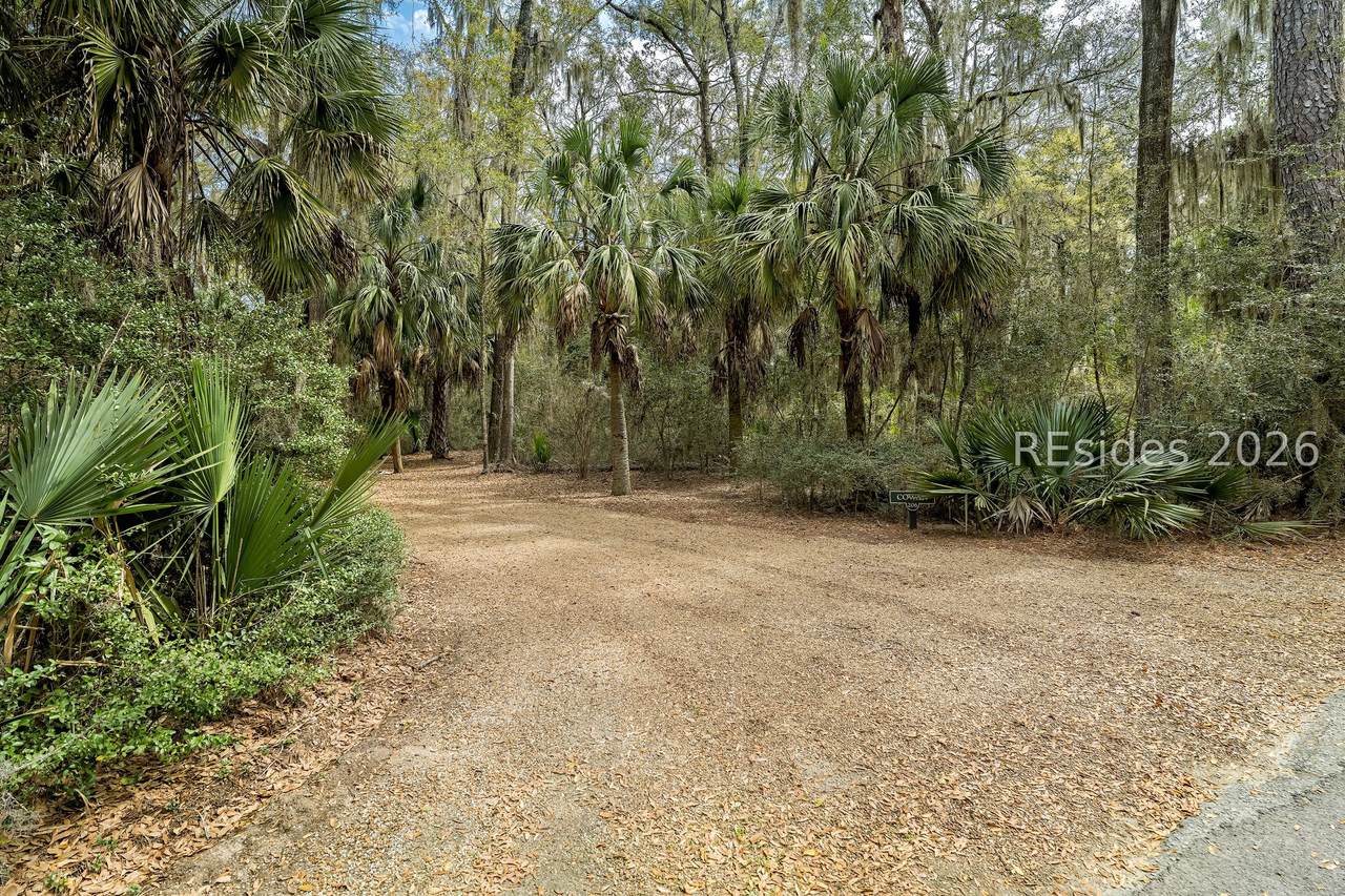 206 Spring Island Drive - Photo 1