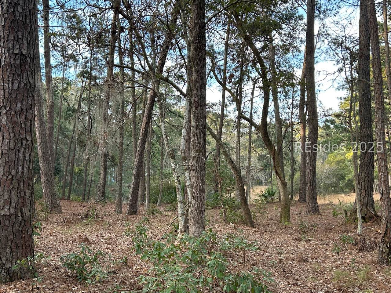 https://bt-photos.global.ssl.fastly.net/hhimls/1280_boomver_1_506299-2.jpg