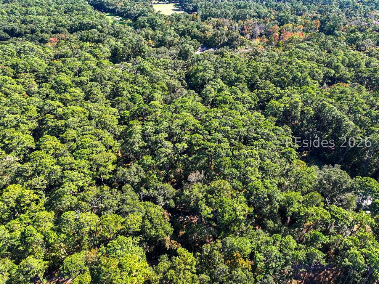 293 Old Haig Point Road - Photo 1