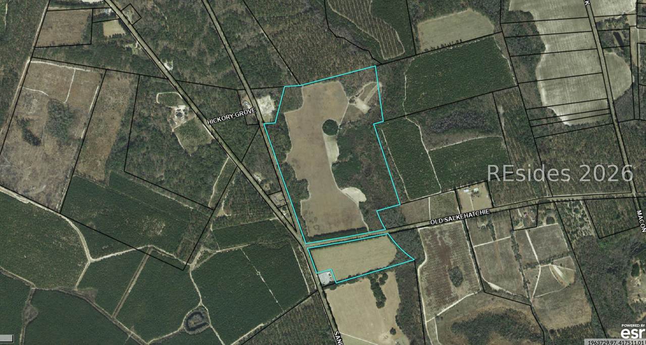 26378 Old Salkehatchie Highway - Photo 1